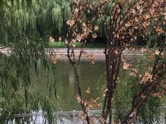 -天津水晶宫饭店