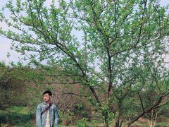 -秀丽东方