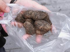 麻糍-叶氏麻糍(鼓浪屿店)