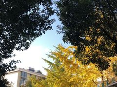 -大鼓米线(长宁建滔广场DM店)