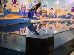 -太平洋海底世界