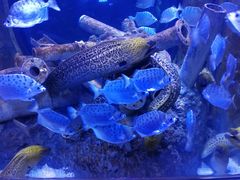 -成都浩海立方海洋公园