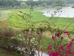 -风云岭森林公园