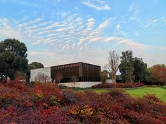 -养云安缦吧THE BAR