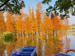 -白鹭湾湿地公园