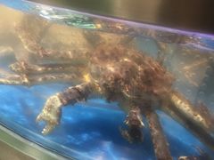 -盒马鲜生(财富中心店)