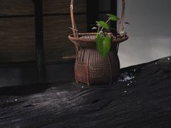 -T館·花园艺术餐厅