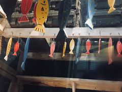 -猫咪博物馆(顶澳仔猫街店)