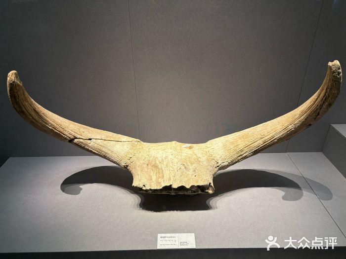 赤峰博物馆图片