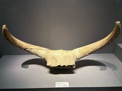 -赤峰博物馆