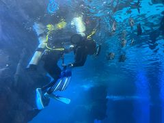 -石家庄海洋公园