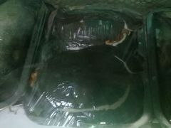 甲鱼-李三海鲜火吧