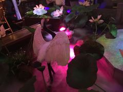 -韵秋荷(宝山龙湖天街店)