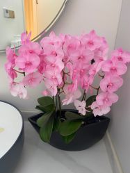 -WENDY·温迪皮肤管理