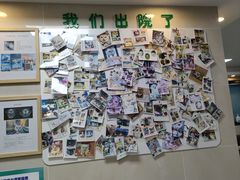 -半岛宠物医院24小时·内窥镜·牙科·碎石中心(府城大道店)