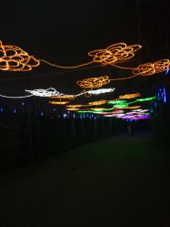 -郑州市世纪公园