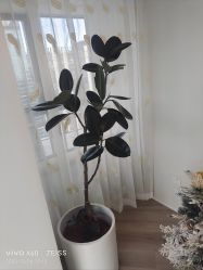 -HEYAN荷妍专业脱毛连锁机构