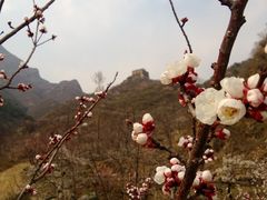 江山如此多“娇”-宅院