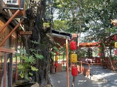 -陶缘一号·四季缘·老字号顺德菜·户外婚礼家宴(西滘店)