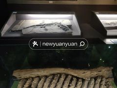 -天津自然博物馆