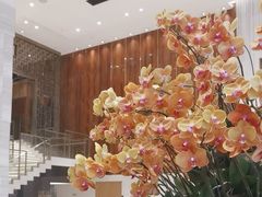 -济南富力凯悦酒店
