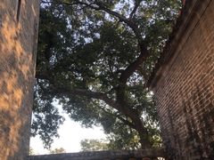 -均和墟历史街区-平和大押