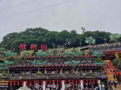 -枇杷园食为鲜火锅(南山店)