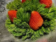 -行家荟(新天地时尚一期店)