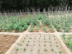 -延安杨家岭革命旧址