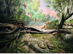 -武汉园博园(武汉自然博物馆)