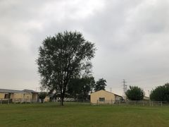 -北京群众马术培训基地