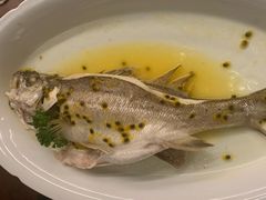 清蒸鲈鱼-觅唐MITONG(鸟巢店)