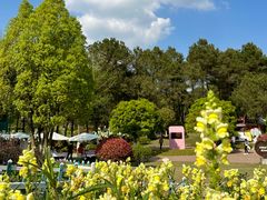 -铁山坪森林公园