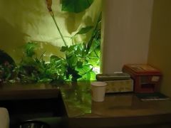 -黄金海岸水疗会所(凯利宾馆店)