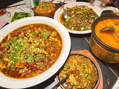 新概念来凤鱼-新概念来凤鱼(璧山店)