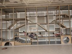 -西城区广电银河艺术幼儿园