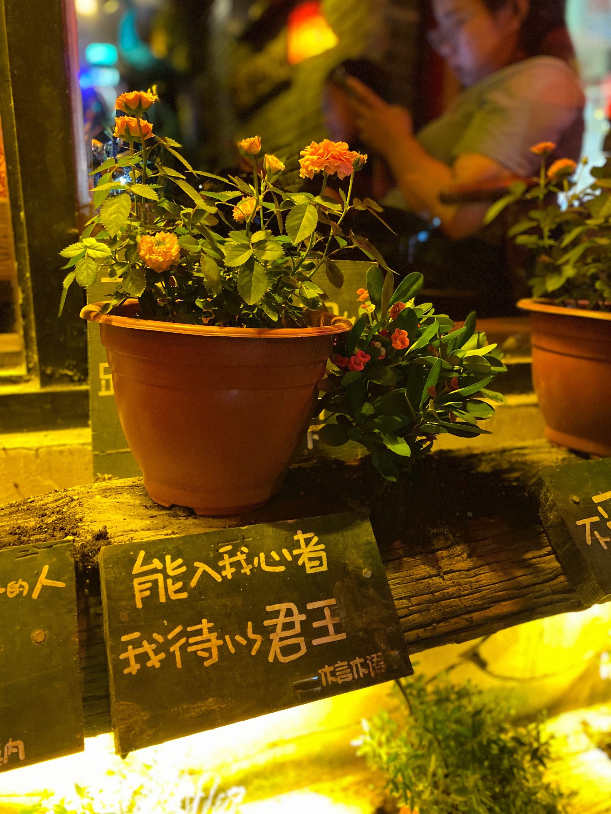 西塘的日和夜很不一样的味道,白天静悄悄的-大众点评