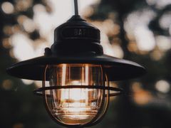 -南宁良凤江国家森林公园