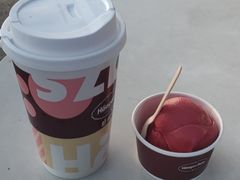-哈根达斯(滨江店)