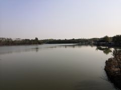 -塘沽森林公园