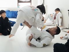 -菠萝格斗巴西柔术训练馆