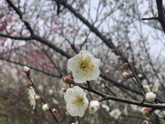 -凤凰沟景区