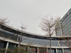 -深圳大学总医院