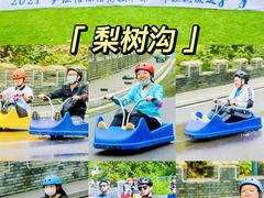 -沉浸北京·团建旅行·密室剧本杀·年会会议轰趴拓展