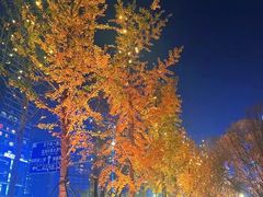 -合景·悠方(成都店)