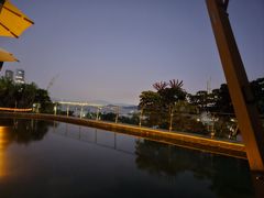 -希尔顿南海酒店·观廊大堂吧·海景下午茶
