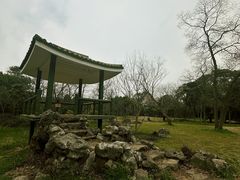 -杭州植物园