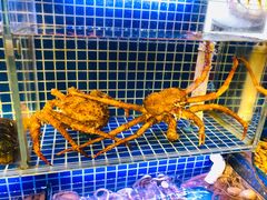 -必点海鲜·鲅鱼水饺(鞍山西道店)