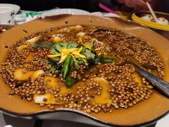 -青梅酒肆PLUS(长白仙岛北路店)