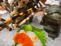 -Mr·Fish鱼鲜生海鲜放题(银泰in99店)